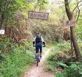 BILBO BAGGINGS - V.BRONDA